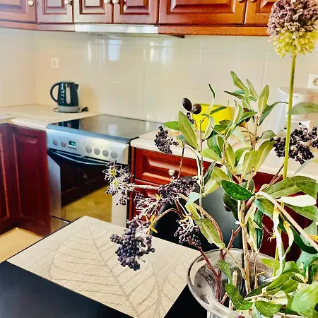 Arietta Santorini شقة